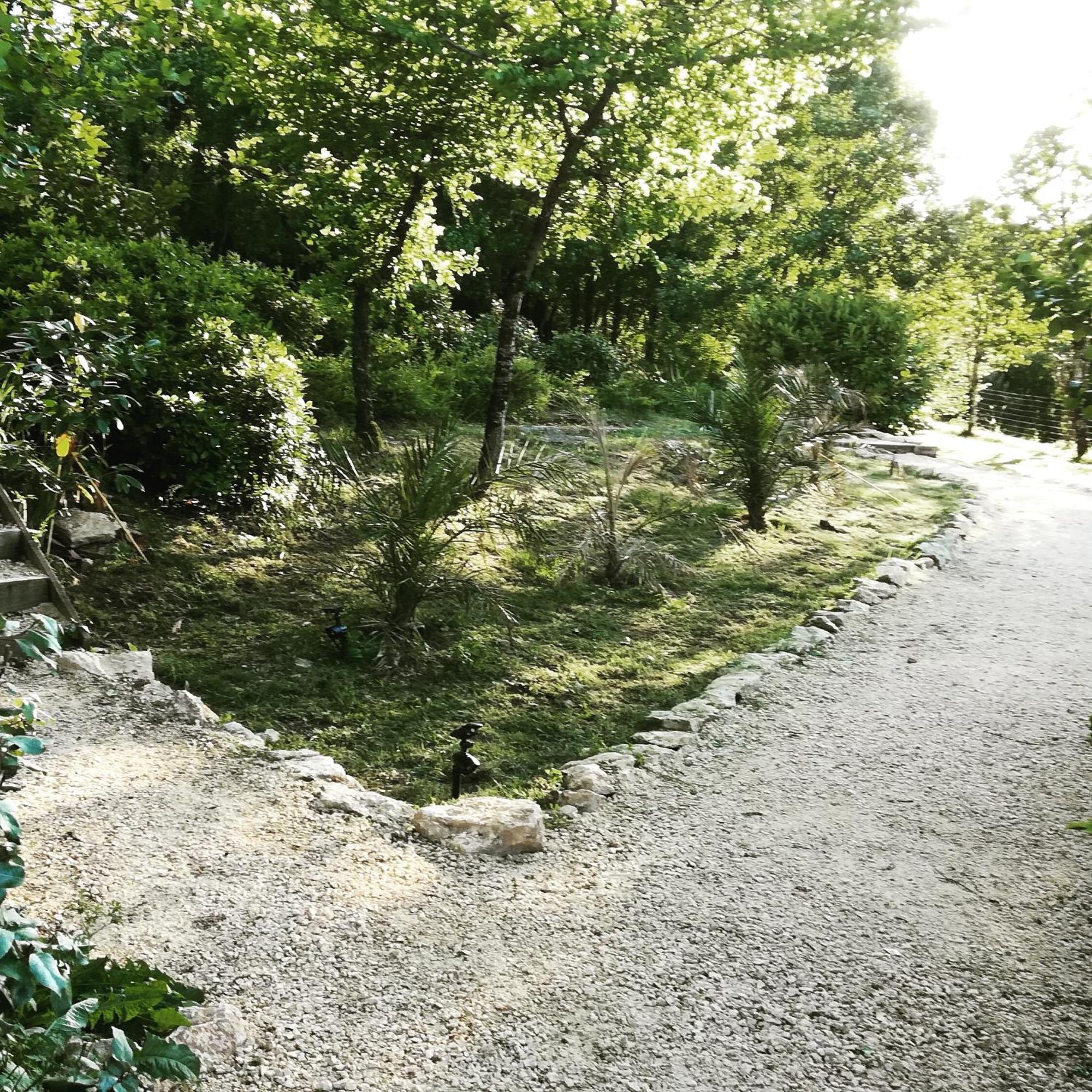 La Source Bed & Breakfast Saint-Cybranet Екстериор снимка